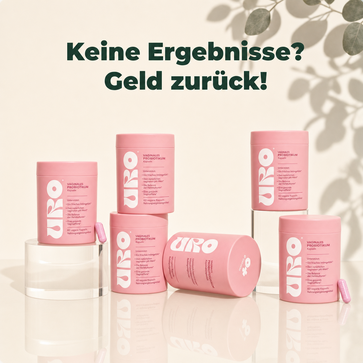 Hanna V-Balance Kapseln – für ein frisches & sicheres Intimgefühl